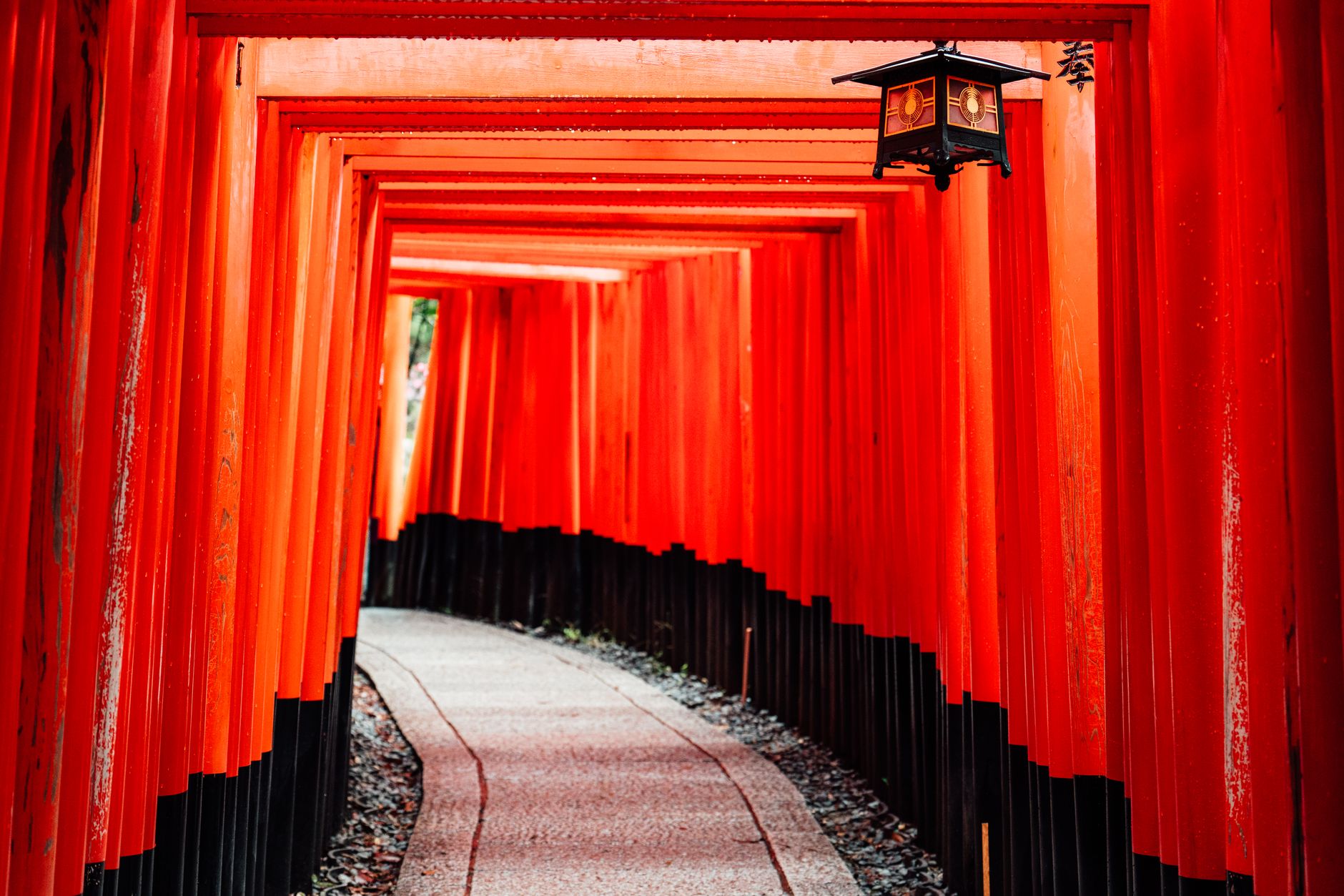 Fushimi Inari kaputengere: Kioto legikonikusabb szentélye
